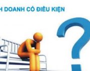 Ngành nghề kinh doanh có điều kiện và các điều kiện theo quy định của pháp luật